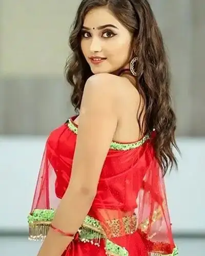 Call Girls Service Palani